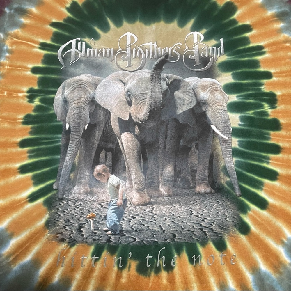 2003 The Allman Brothers Band Hittin the Note All Summer Tie Dye T-Shirt Size XL - Picture 2 of 6